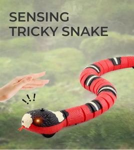 Magic Snake Pawstressisgone
