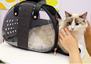 Pet carrier travel bag Pawstressisgone