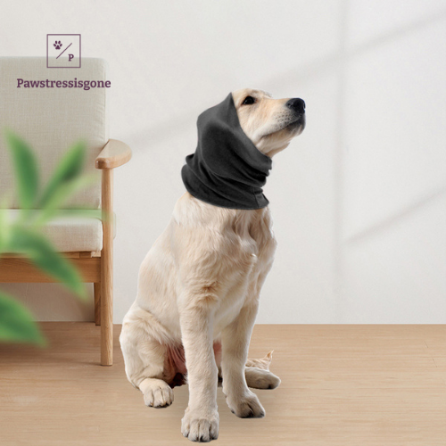 Calming Dog Ears Cover Pawstressisgone