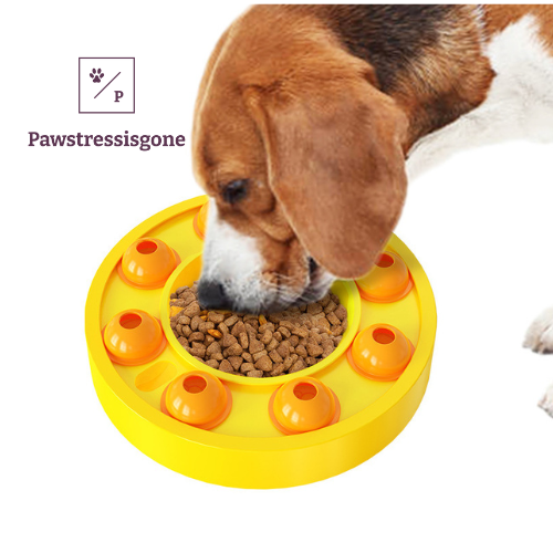 Slow-feeding bowl Pawstressisgone